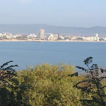 Flores Park Σάνι Μπιτς