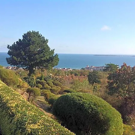 Flores Park Sunny Beach