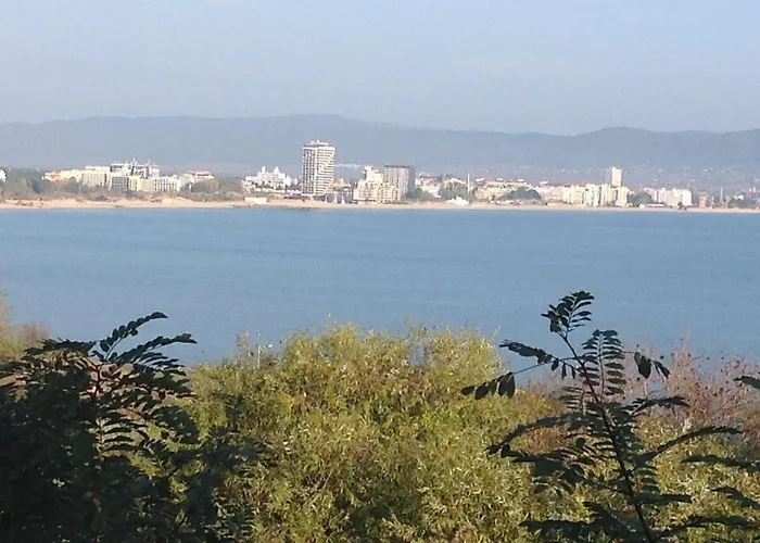 Flores Park Солнечный берег